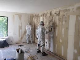 Best Real Estate Mold Inspection  in Burbank, CA